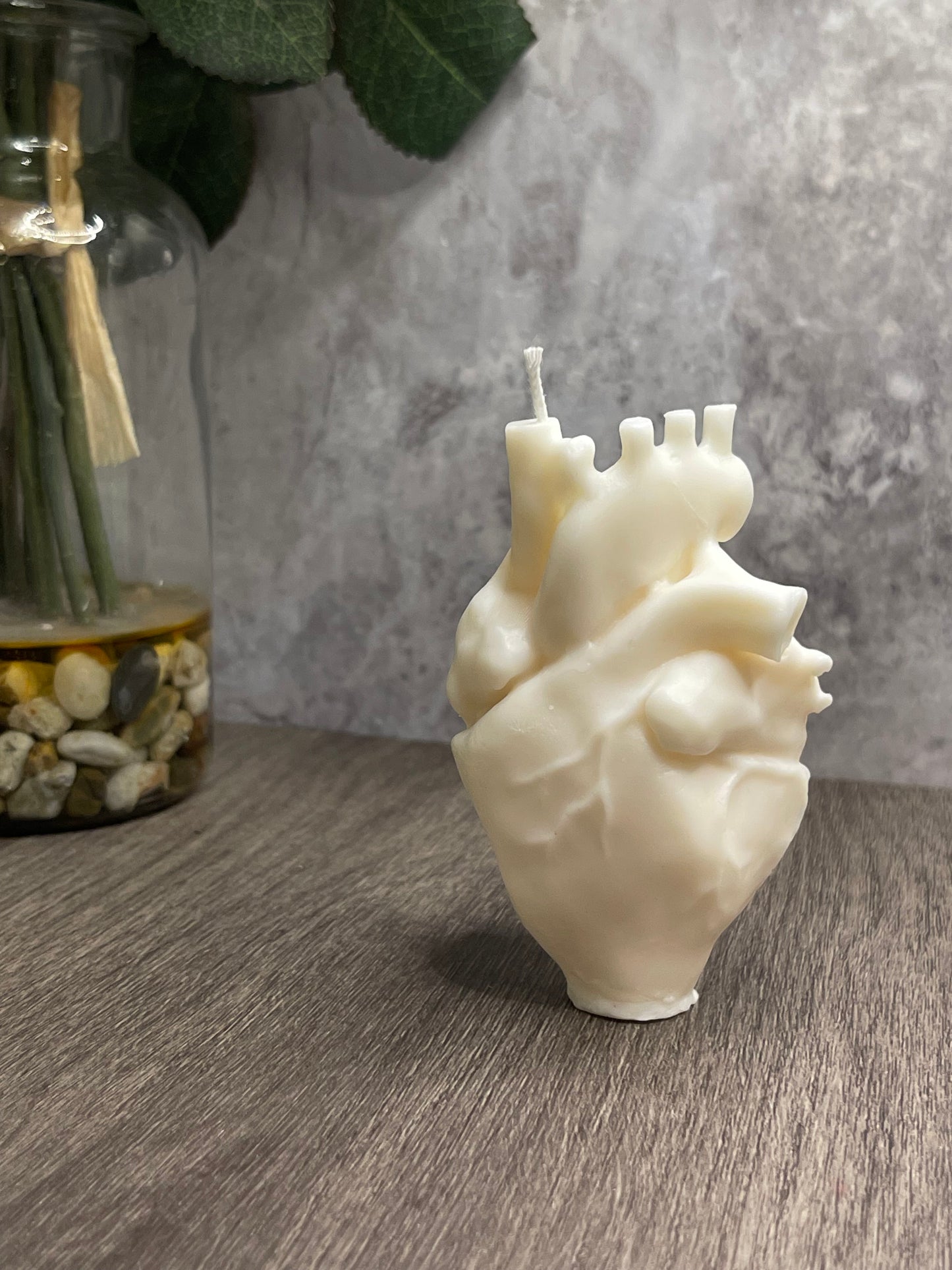 Human Heart