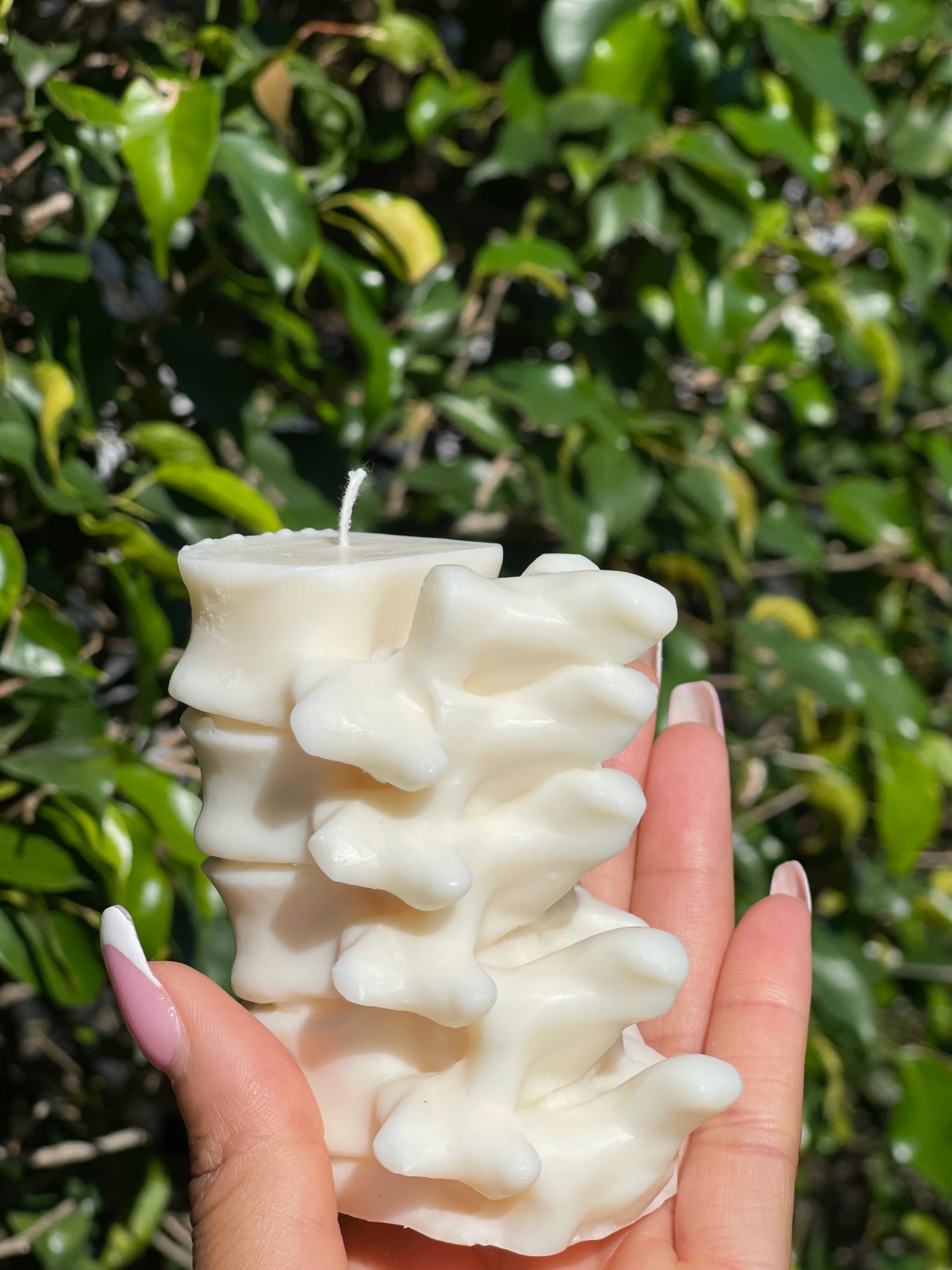 Spine Candle