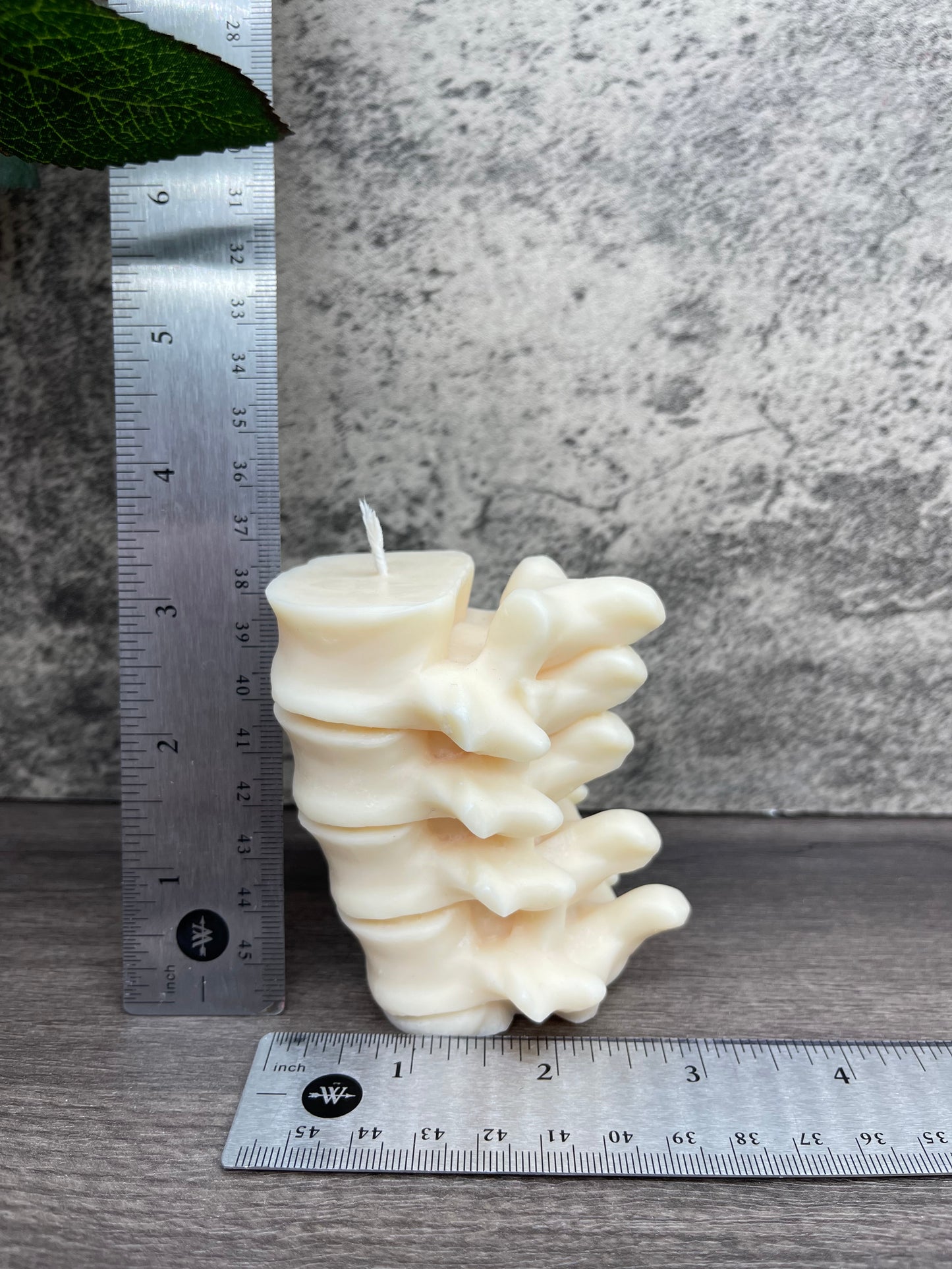 Spine Candle
