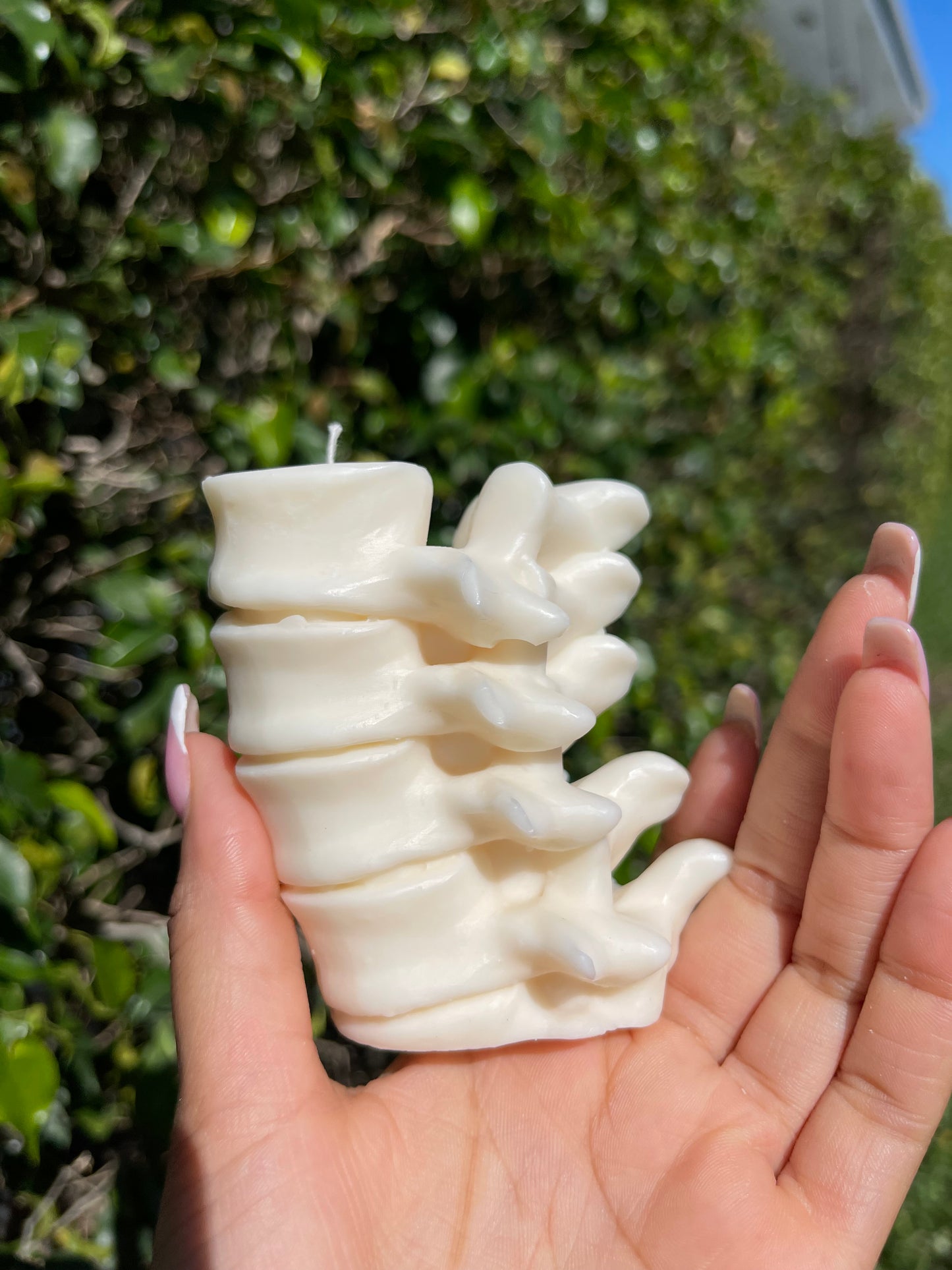 Spine Candle