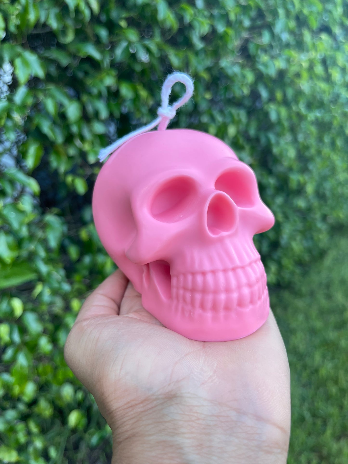 Skull