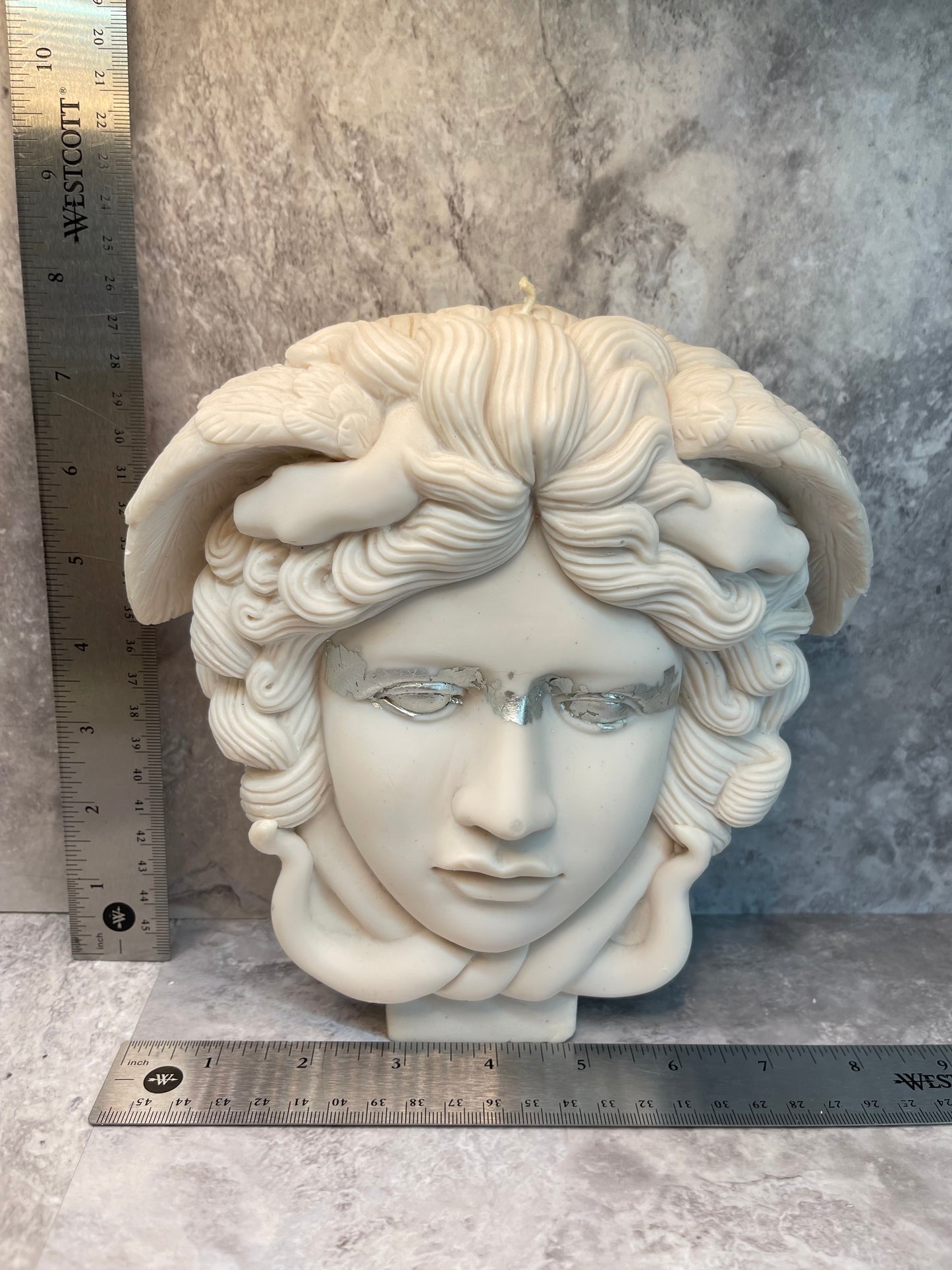 Large Medusa Head