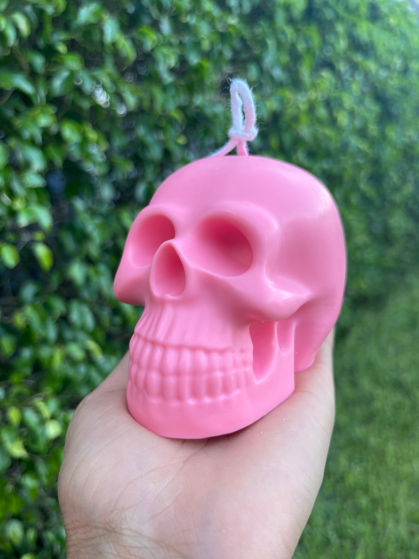 Skull