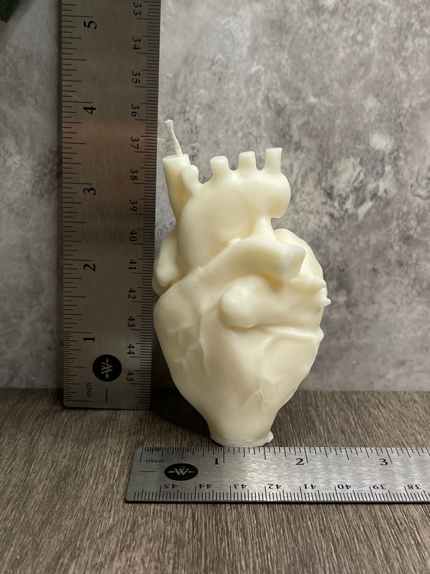 Human Heart