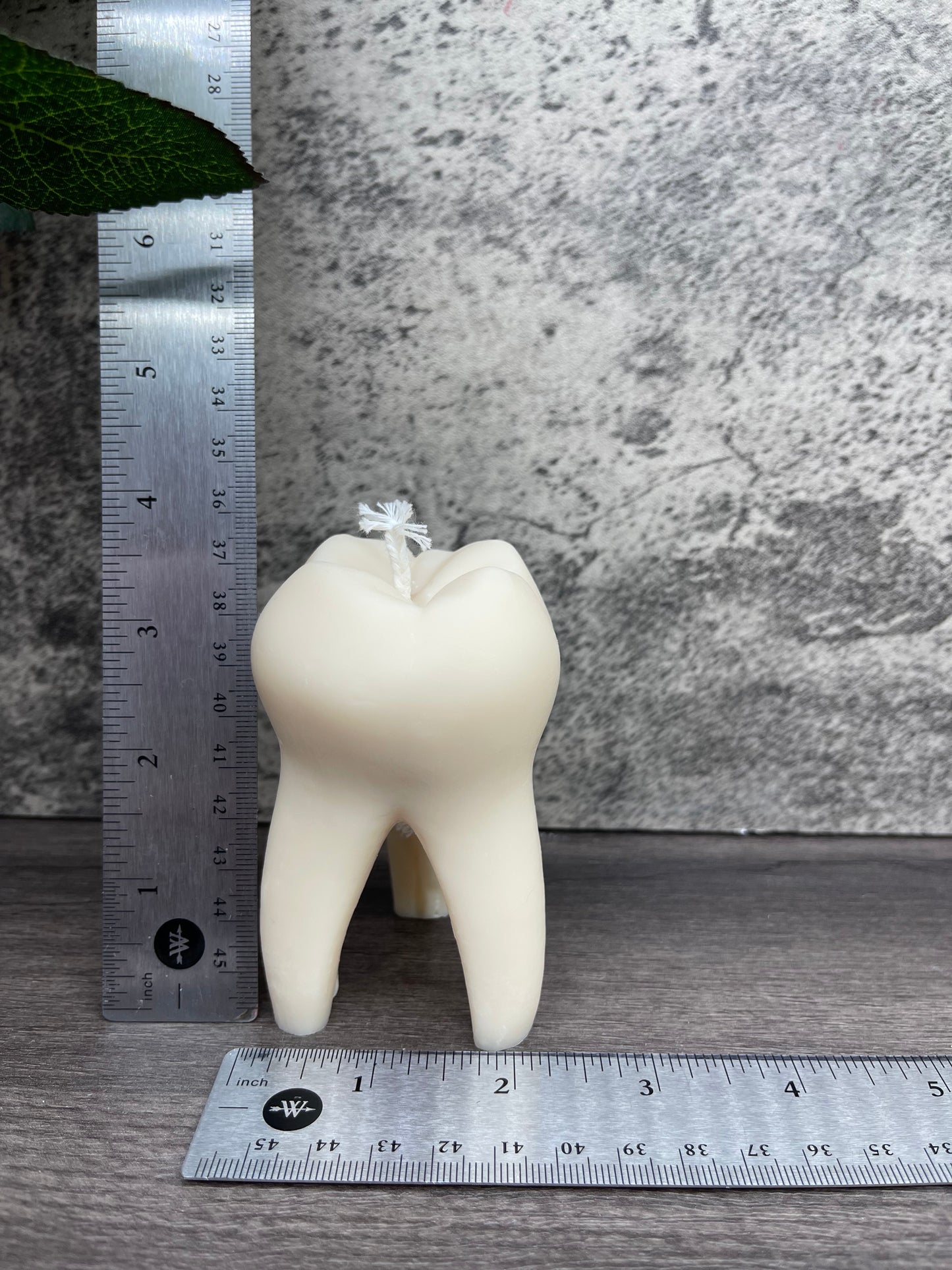 Tooth Candle