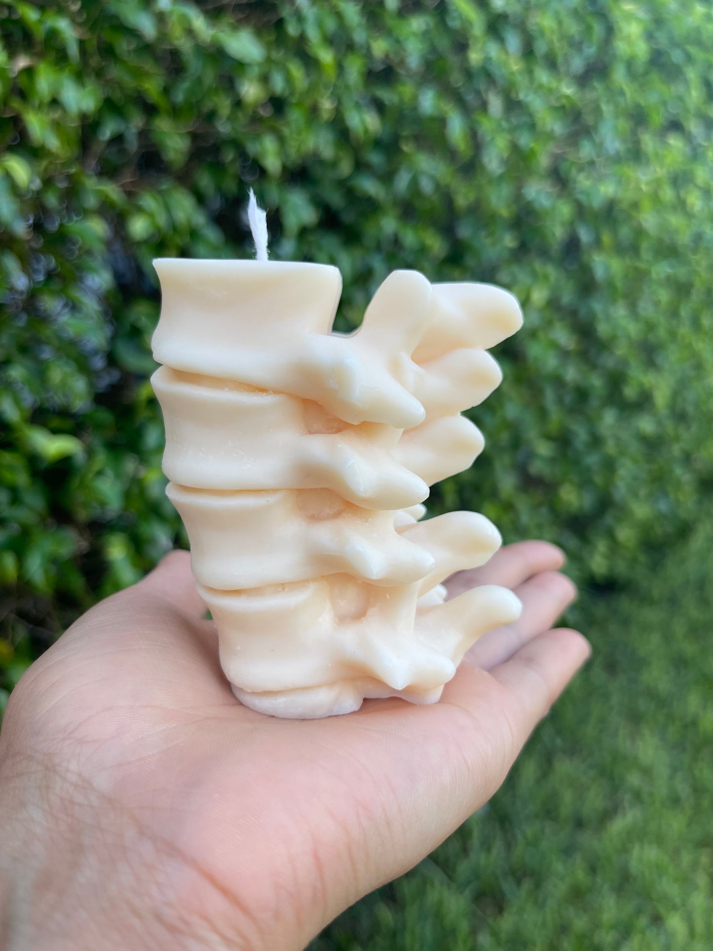 Spine Candle