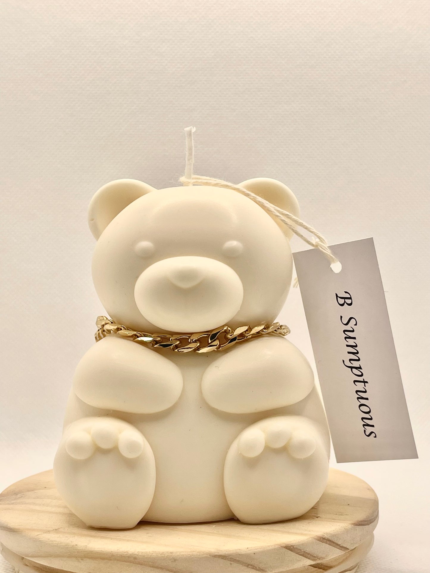 Cute Chubby Teddy Bear