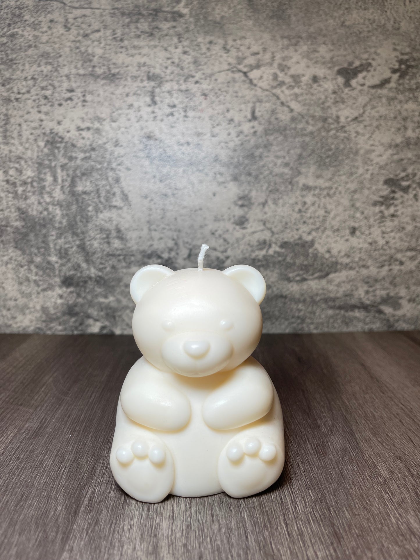 Cute Chubby Teddy Bear