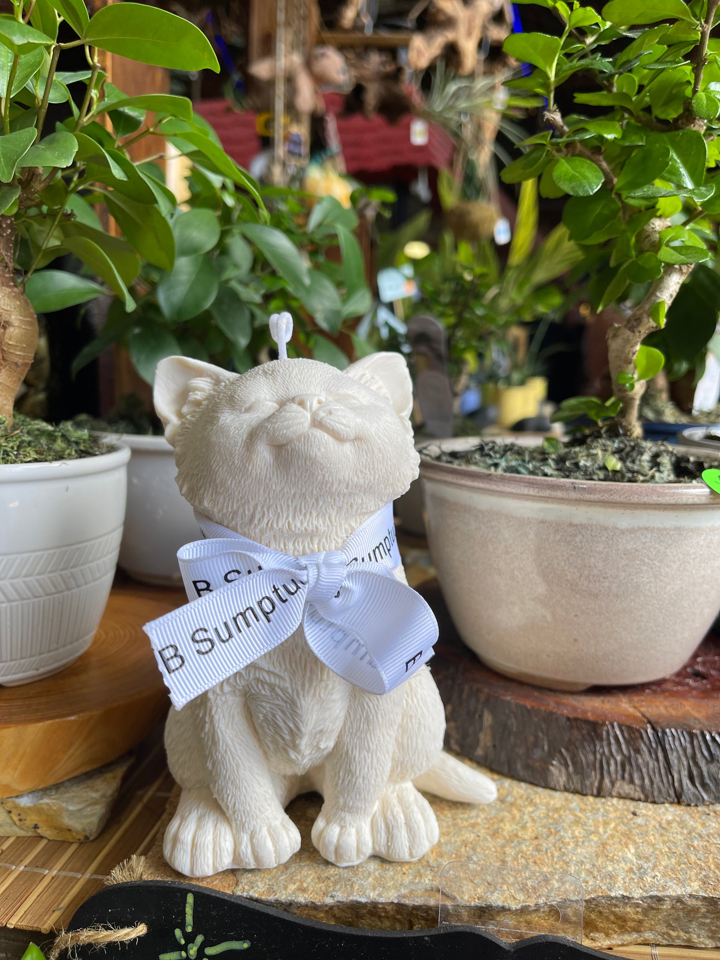 Kitty Candle