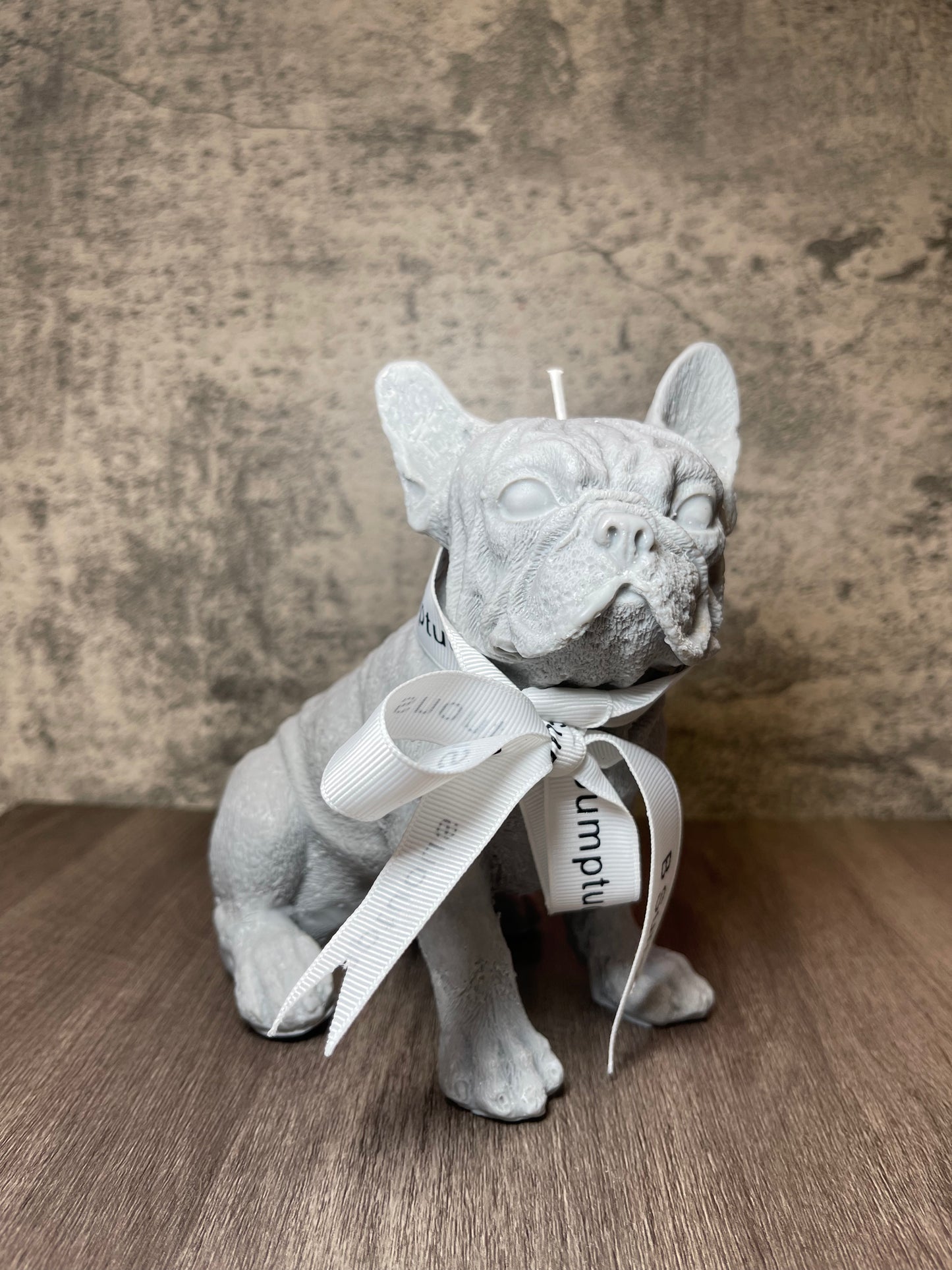 Cute Frenchie
