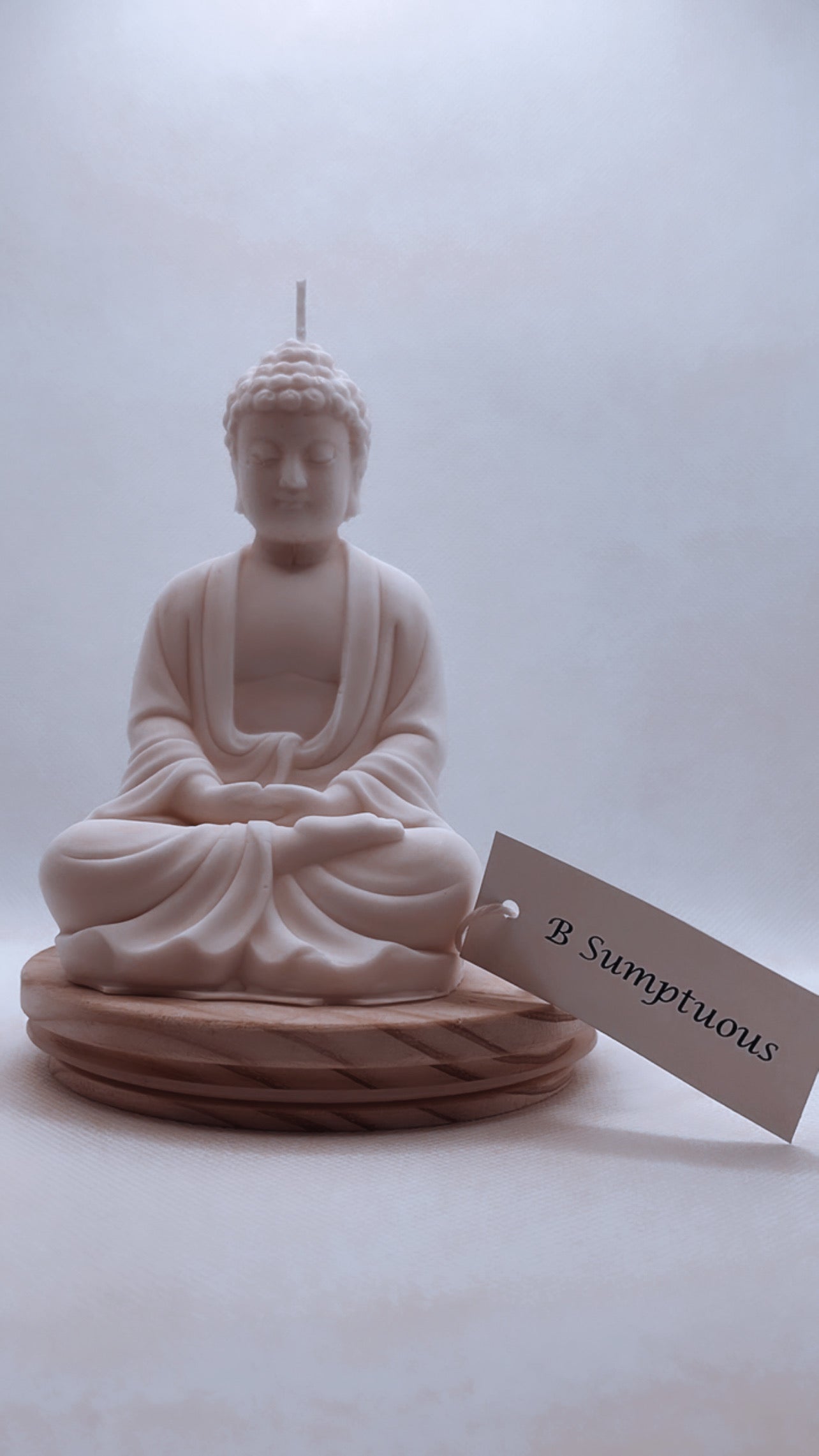 Meditating Buddha