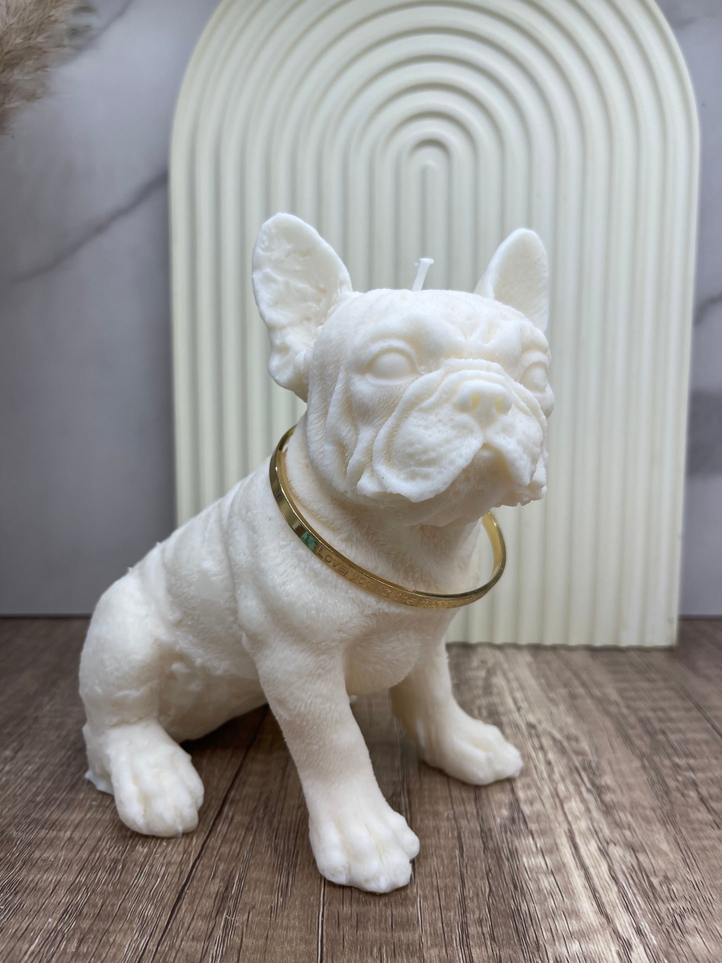 Cute Frenchie