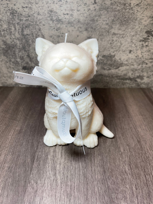Kitty Candle